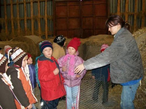 Výroba oveček pro&nbsp;Nečtinský betlém
prosinec 2009